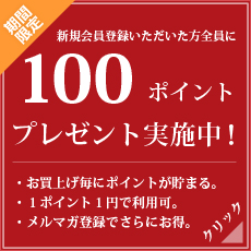 �����Ͽ100�ݥ���ȥץ쥼���